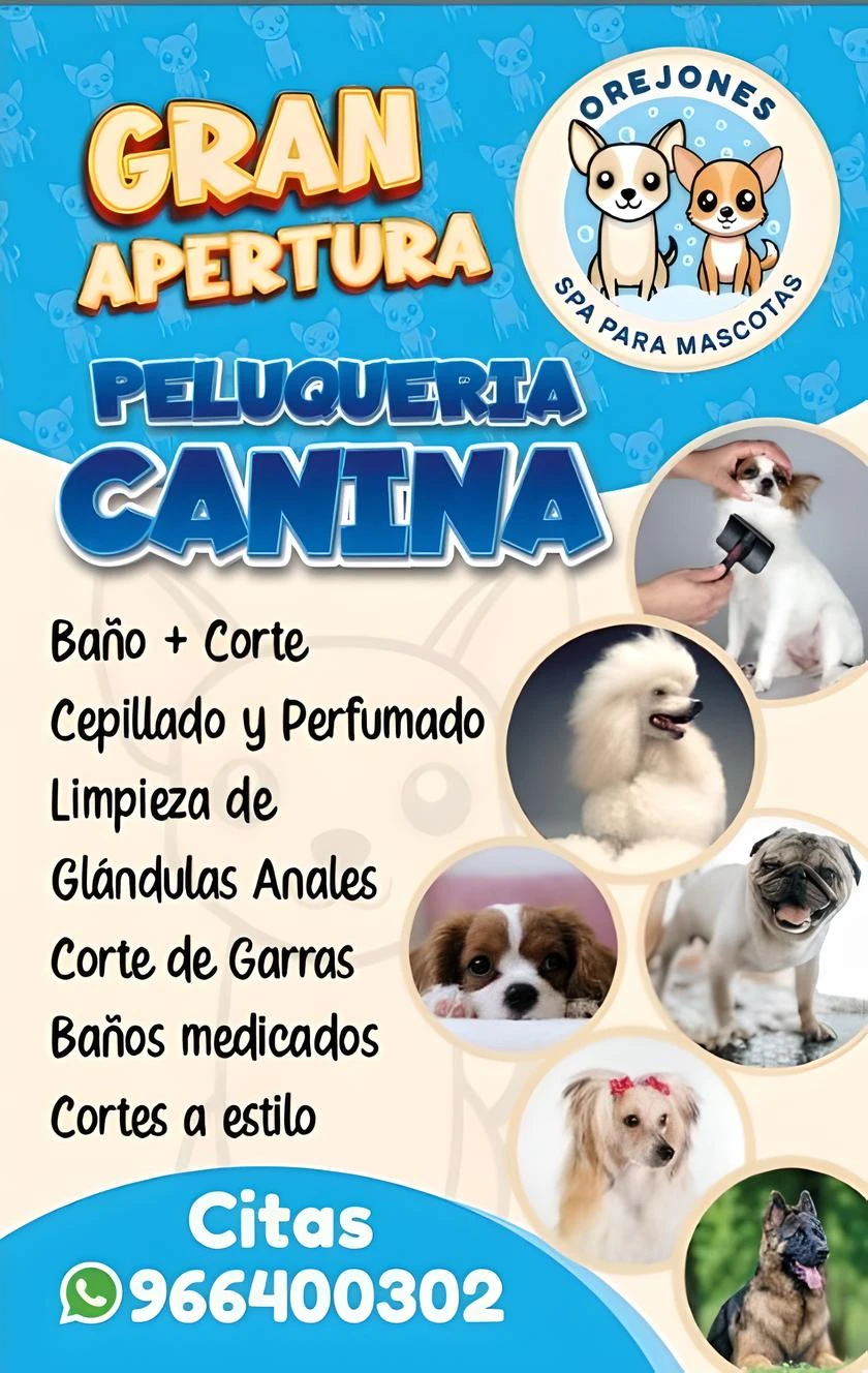 spa para mascotas en san miguel