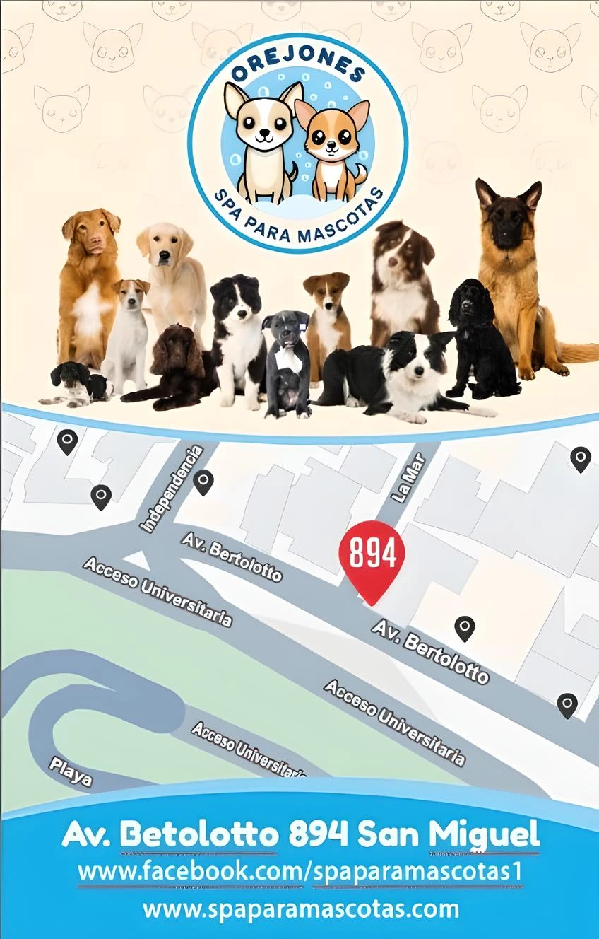 spa para mascotas en san miguel 2