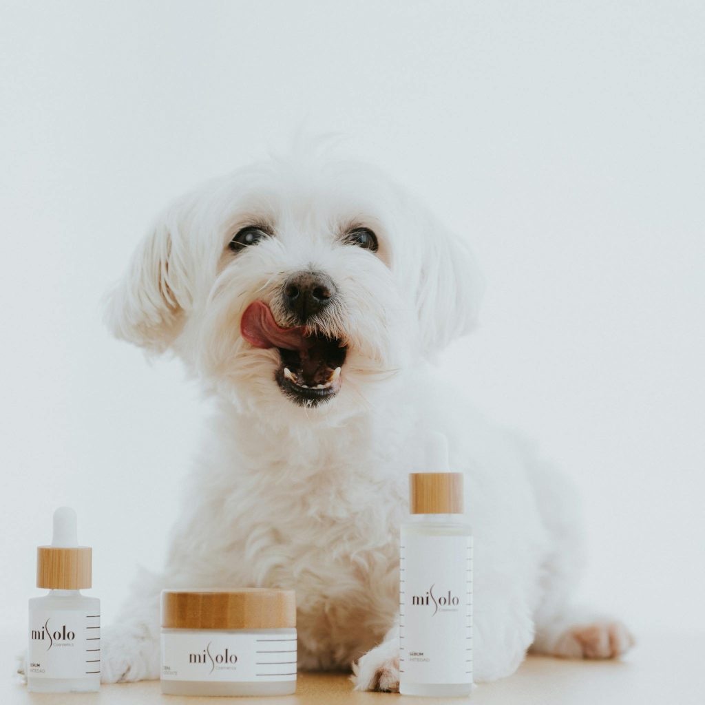 Fluffy white puppy with skincare bottles, promoting grooming products.